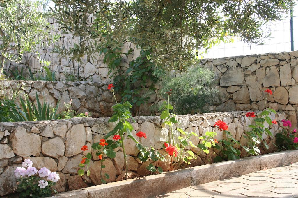 Apartment Sevid Rom bilde